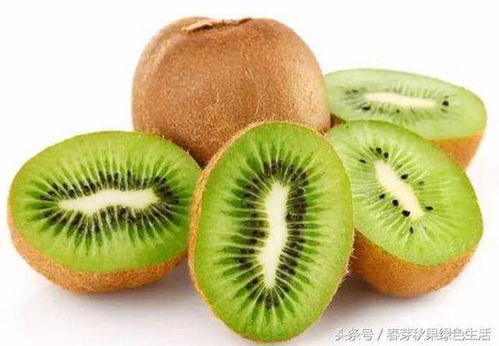 獼猴桃口味哪種比較好