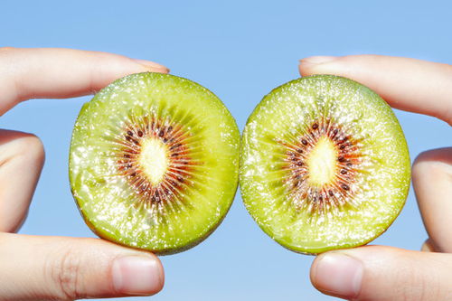 手拿切開(kāi)的四川紅心獼猴桃,蔬菜水果,食品餐飲,攝影素材,匯圖網(wǎng)