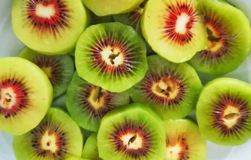 紅心獼猴桃成了赤水這個村的 致富果