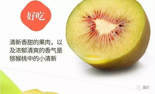 甜甜甜甜甜 蒲江紅心獼猴桃,第二件半價