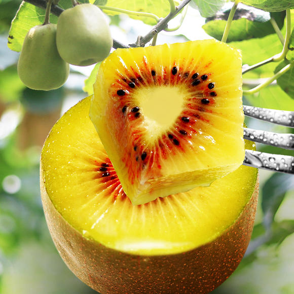 蒲江紅心獼猴桃4斤/5斤裝