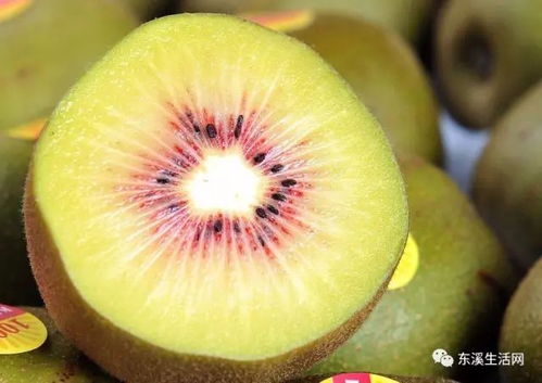 中國蒼溪 紅心獼猴桃 2018年再次向世界發出搶購號令