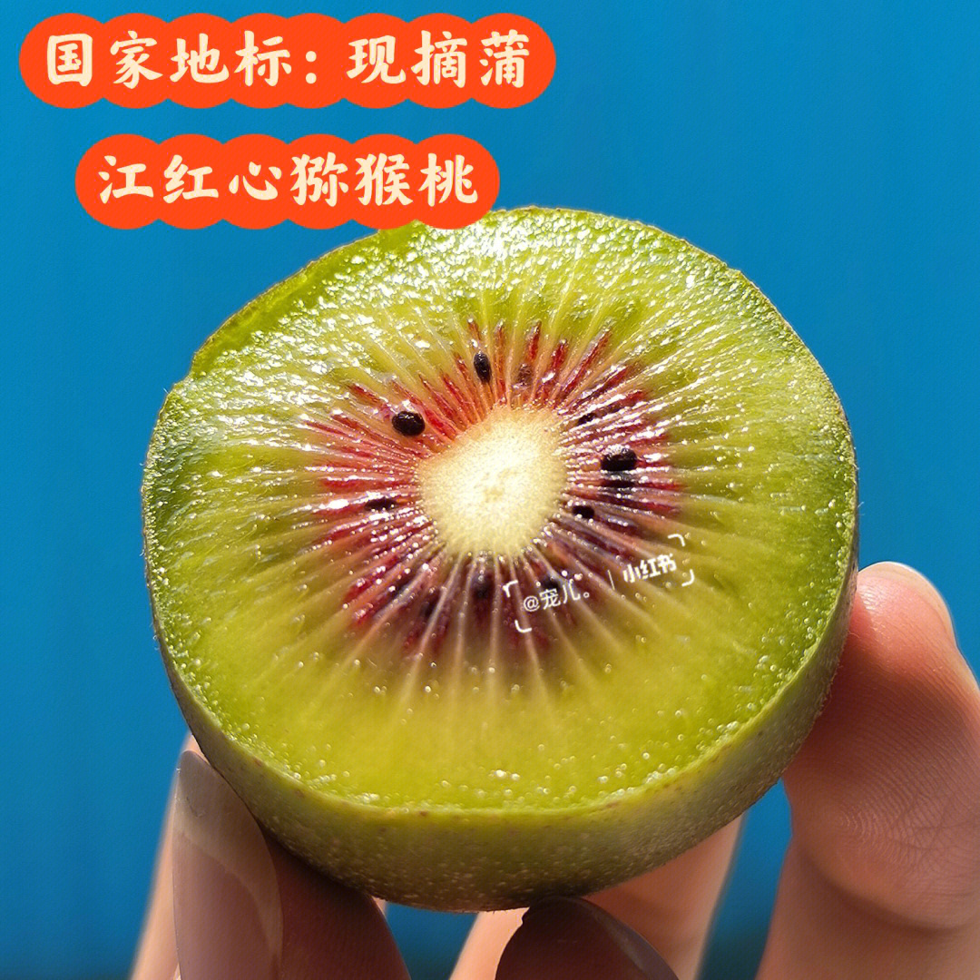 國家地標農產品核心產區蒲江紅心獼猴桃