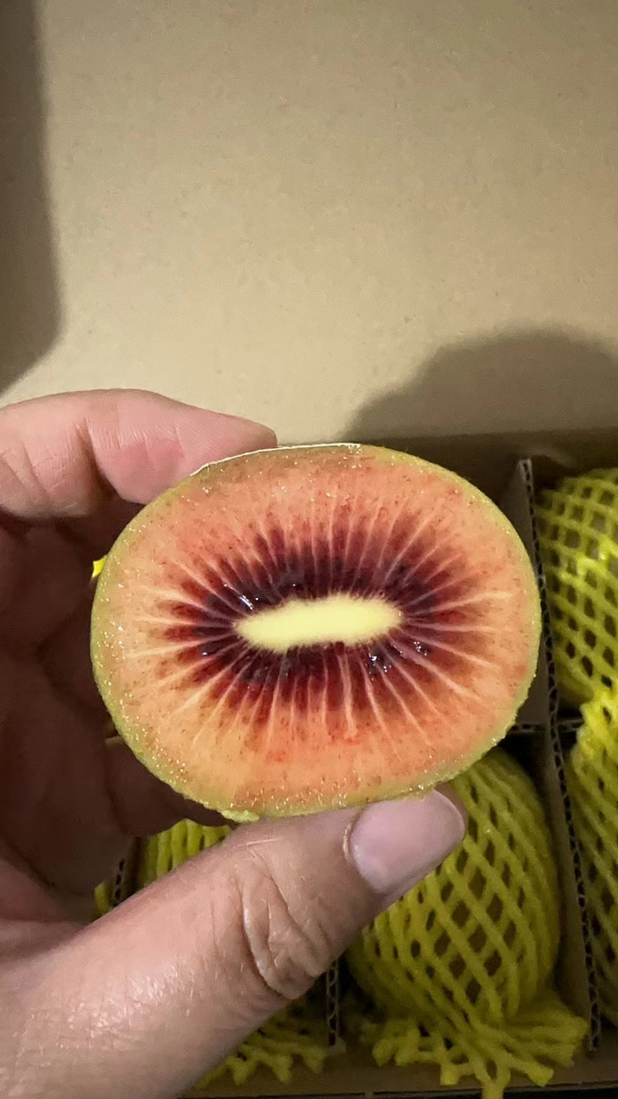 佳沛紅心奇異果 一場味蕾的奇妙之旅