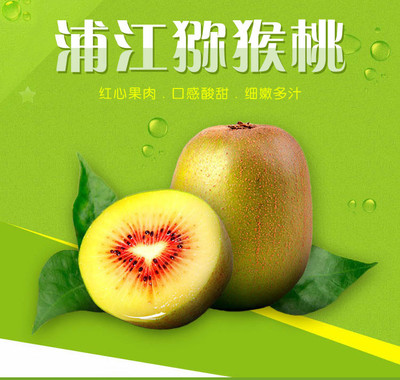 紅心獼猴桃 來自四川蒲江的甜蜜珍寶