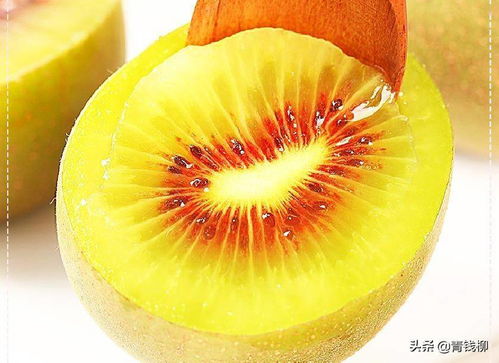 紅心獼猴桃種植項目分析與市場前景