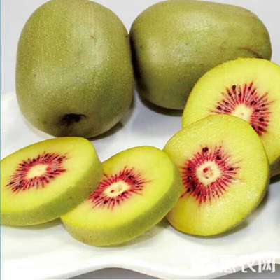 蒼溪紅心獼猴桃，甜蜜上市正當(dāng)時