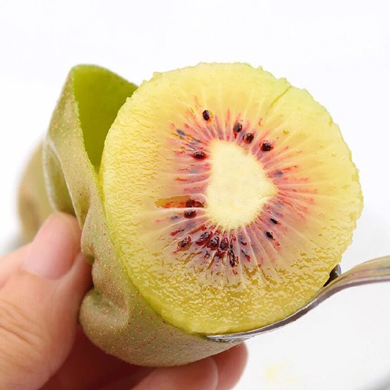 品味“帆兒莊園”紅心獼猴桃 四川浦江的自然饋贈，甜蜜與營養的融合