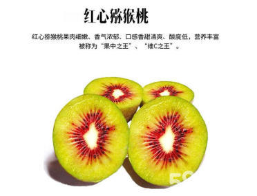 成都周邊優質紅心獼猴桃奇異果采摘園指南