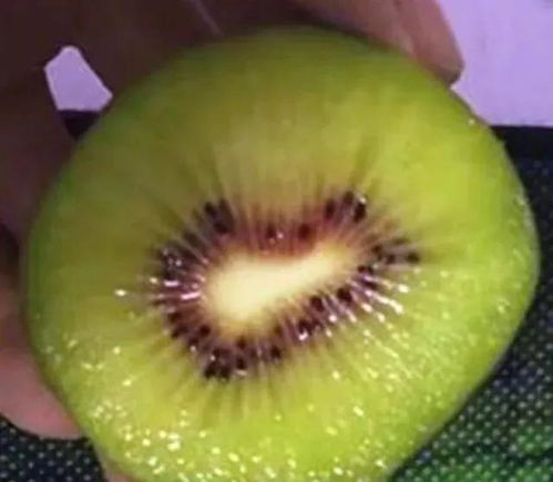 最全12種紅心獼猴桃品種大盤點 品味紅心之美